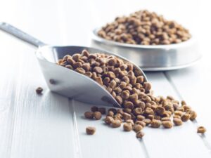 Discovering the Heartland’s Best: A Guide to Midwestern Pet Food