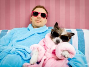 Low Country Pet Wellness: A Comprehensive Guide to Keeping Your Pets Healthy