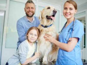 Riverside Animal Shelter: A Safe Haven for Pets in Need