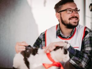The Essential Guide to VCA Animal Hospital: Quality Care for Your Pets