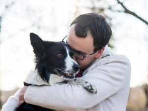 The Ultimate Guide to Choosing the Best Animal Medical Clinic