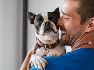 Animal Shelter: A Haven for Pets in Need
