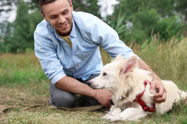 tips for first time animal shelter volunteers